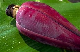 Manfaat Sayur Jantung Pisang Buat Ibu Hamil